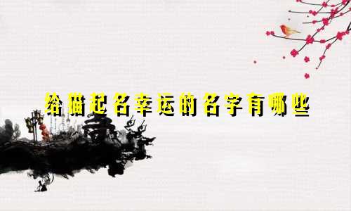 给猫起名幸运的名字有哪些