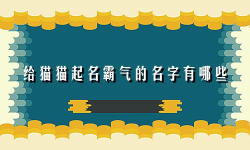 给猫猫起名霸气的名字有哪些