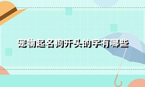 宠物起名狗开头的字有哪些
