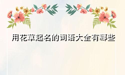 用花草起名的词语大全有哪些