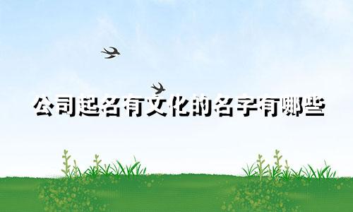 公司起名有文化的名字有哪些