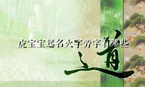 虎宝宝起名火字旁字有哪些