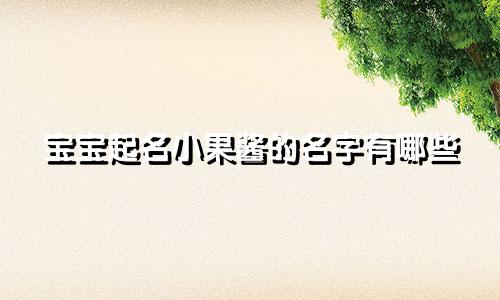 宝宝起名小果酱的名字有哪些