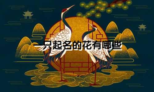 一只起名的花有哪些