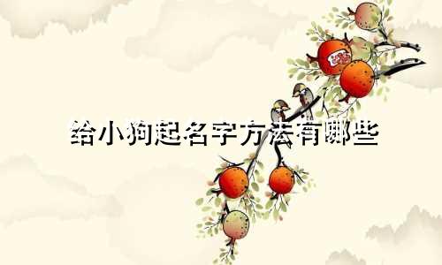 给小狗起名字方法有哪些