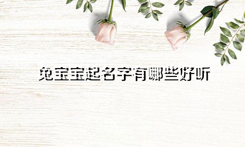兔宝宝起名字有哪些好听