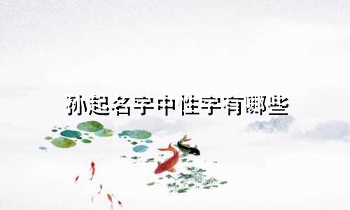 孙起名字中性字有哪些