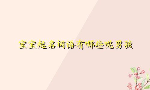 宝宝起名词语有哪些呢男孩