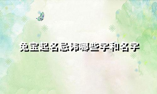 兔宝起名忌讳哪些字和名字