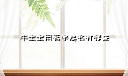 牛宝宝用茗字起名有哪些