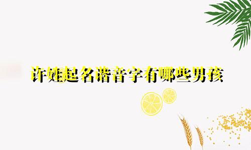 许姓起名谐音字有哪些男孩