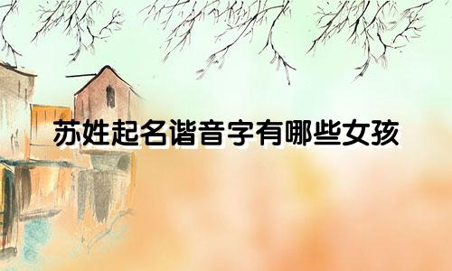 苏姓起名谐音字有哪些女孩