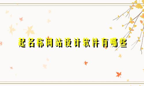 起名称网站设计软件有哪些