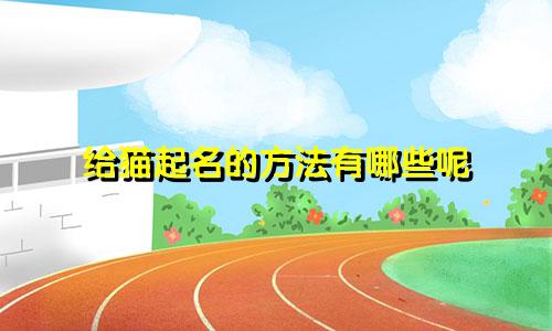 给猫起名的方法有哪些呢