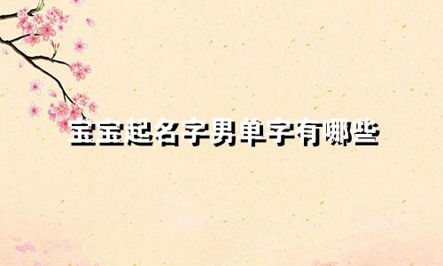 宝宝起名字男单字有哪些
