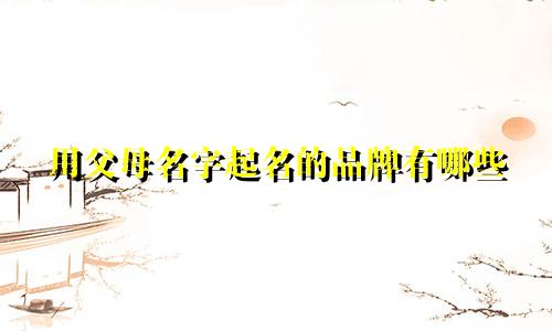 用父母名字起名的品牌有哪些