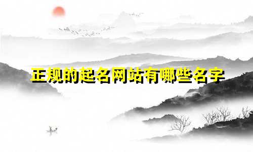 正规的起名网站有哪些名字