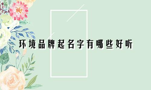 环境品牌起名字有哪些好听