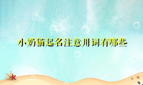 小奶猫起名注意用词有哪些