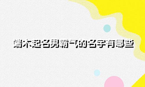 端木起名男霸气的名字有哪些