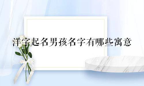 洋字起名男孩名字有哪些寓意