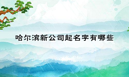 哈尔滨新公司起名字有哪些