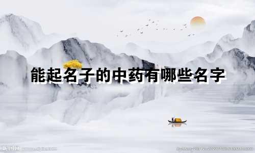 能起名子的中药有哪些名字