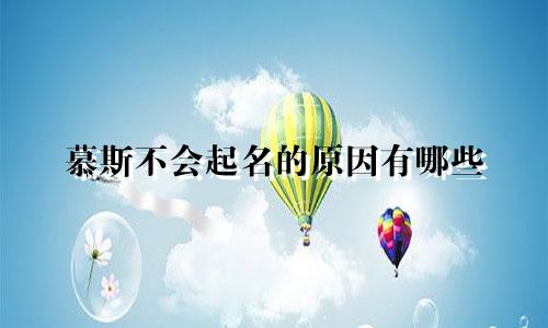 慕斯不会起名的原因有哪些