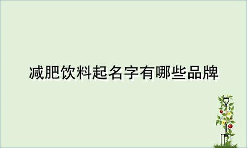 减肥饮料起名字有哪些品牌