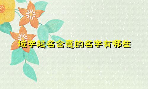 域字起名含意的名字有哪些