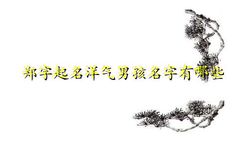 郑字起名洋气男孩名字有哪些