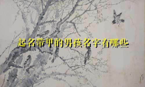 起名带甲的男孩名字有哪些