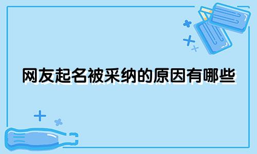 网友起名被采纳的原因有哪些