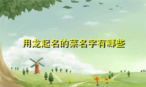 用龙起名的菜名字有哪些