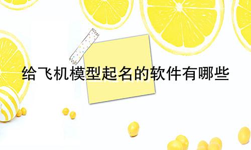 给飞机模型起名的软件有哪些