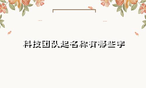 科技团队起名称有哪些字