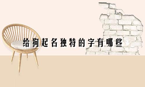给狗起名独特的字有哪些