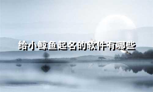给小鲸鱼起名的软件有哪些