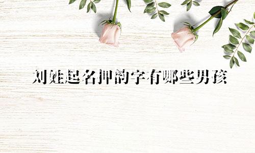 刘姓起名押韵字有哪些男孩