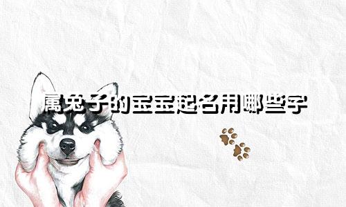属兔子的宝宝起名用哪些字