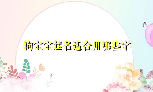 狗宝宝起名适合用哪些字