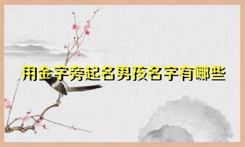 用金字旁起名男孩名字有哪些