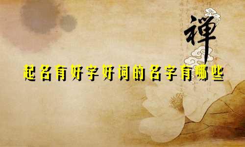 起名有好字好词的名字有哪些