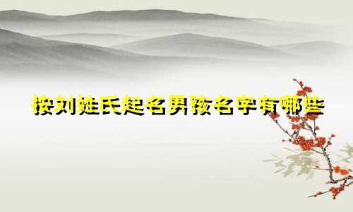 按刘姓氏起名男孩名字有哪些