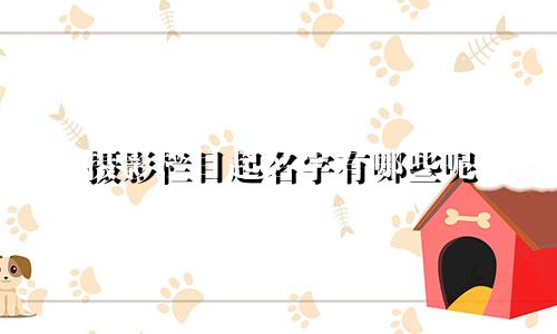 摄影栏目起名字有哪些呢