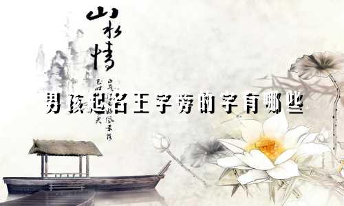 男孩起名王字旁的字有哪些