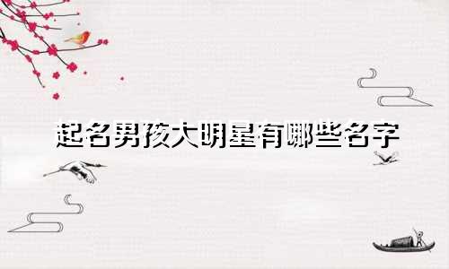 起名男孩大明星有哪些名字
