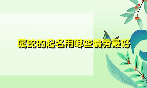 属蛇的起名用哪些偏旁最好
