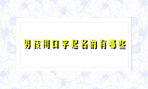 男孩用口字起名的有哪些