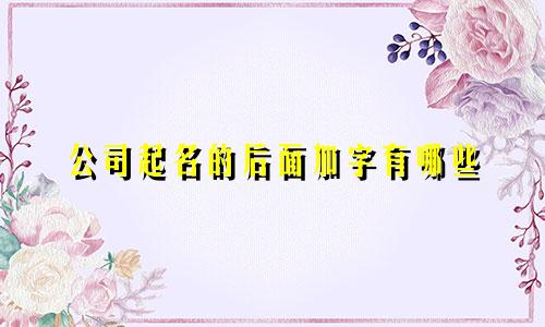 公司起名的后面加字有哪些